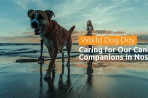 Best Sea World Dog Day Care & Resort My Caring Dog – Tips, Stories, and Care Guides for Loving Pet Owners Best Sea World Dog Day Care & Resort | My Caring Dog – Tips, Stories, and Care Guides for Loving Pet Owners