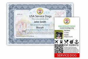 Certification Of Service Dogs My Caring Dog – Tips, Stories, and Care Guides for Loving Pet Owners Certification Of Service Dogs | My Caring Dog – Tips, Stories, and Care Guides for Loving Pet Owners
