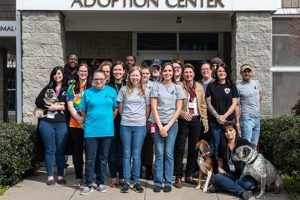 Best In-Home Dog Care Taker Services My Caring Dog – Tips, Stories, and Care Guides for Loving Pet Owners Best In-Home Dog Care Taker Services | My Caring Dog – Tips, Stories, and Care Guides for Loving Pet Owners