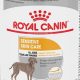 Best Skin Care Dog Food for a Healthy Coat | My Caring Dog – Tips, Stories, and Care Guides for Loving Pet Owners