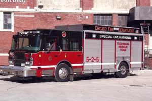 Chicago Rescue: Car Dog Safety & Support My Caring Dog – Tips, Stories, and Care Guides for Loving Pet Owners Chicago Rescue: Car Dog Safety & Support | My Caring Dog – Tips, Stories, and Care Guides for Loving Pet Owners