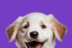 Best Dog Day Care Software: Top Tools & Apps My Caring Dog – Tips, Stories, and Care Guides for Loving Pet Owners Best Dog Day Care Software: Top Tools & Apps | My Caring Dog – Tips, Stories, and Care Guides for Loving Pet Owners