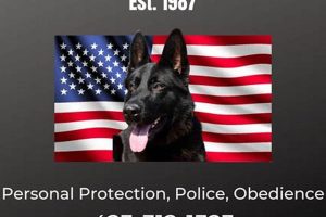 Train Your Independent K9: Car Dog Essentials My Caring Dog – Tips, Stories, and Care Guides for Loving Pet Owners Train Your Independent K9: Car Dog Essentials | My Caring Dog – Tips, Stories, and Care Guides for Loving Pet Owners