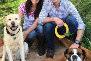 Best Green Meadow Dog Day Care | Top Kennels My Caring Dog – Tips, Stories, and Care Guides for Loving Pet Owners Best Green Meadow Dog Day Care | Top Kennels | My Caring Dog – Tips, Stories, and Care Guides for Loving Pet Owners