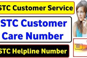 Top Dog Care Customer Service Number Helpline My Caring Dog – Tips, Stories, and Care Guides for Loving Pet Owners Top Dog Care Customer Service Number Helpline | My Caring Dog – Tips, Stories, and Care Guides for Loving Pet Owners