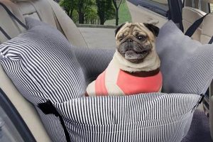 Travel Car Couch For Dogs My Caring Dog – Tips, Stories, and Care Guides for Loving Pet Owners Travel Car Couch For Dogs | My Caring Dog – Tips, Stories, and Care Guides for Loving Pet Owners