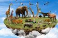 Exploring the Wild Animal Community: Car & Dog My Caring Dog – Tips, Stories, and Care Guides for Loving Pet Owners Exploring the Wild Animal Community: Car & Dog | My Caring Dog – Tips, Stories, and Care Guides for Loving Pet Owners