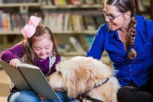 Best Online Therapy Dog Training Courses & Certification My Caring Dog – Tips, Stories, and Care Guides for Loving Pet Owners Best Online Therapy Dog Training Courses & Certification | My Caring Dog – Tips, Stories, and Care Guides for Loving Pet Owners