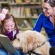 Best Online Therapy Dog Training Courses & Certification | My Caring Dog – Tips, Stories, and Care Guides for Loving Pet Owners