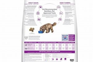 Best Brain Aging Care Dog Food for Senior Dogs My Caring Dog – Tips, Stories, and Care Guides for Loving Pet Owners Best Brain Aging Care Dog Food for Senior Dogs | My Caring Dog – Tips, Stories, and Care Guides for Loving Pet Owners