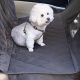 Top 10 Best Car Seat Covers For Dogs in 2024 | My Caring Dog – Tips, Stories, and Care Guides for Loving Pet Owners