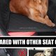 Best Dog Car Seat Covers with Hard Bottom Protection | My Caring Dog – Tips, Stories, and Care Guides for Loving Pet Owners
