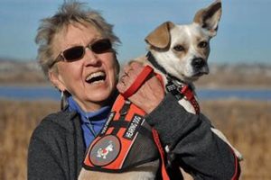 International Hearing Dog Inc My Caring Dog – Tips, Stories, and Care Guides for Loving Pet Owners International Hearing Dog Inc | My Caring Dog – Tips, Stories, and Care Guides for Loving Pet Owners
