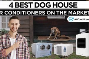 Best Car AC for Dogs: Cool & Safe Travels My Caring Dog – Tips, Stories, and Care Guides for Loving Pet Owners Best Car AC for Dogs: Cool & Safe Travels | My Caring Dog – Tips, Stories, and Care Guides for Loving Pet Owners