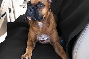 Best PetSmart Car Seat Covers For Dogs: Top Picks My Caring Dog – Tips, Stories, and Care Guides for Loving Pet Owners Best PetSmart Car Seat Covers For Dogs: Top Picks | My Caring Dog – Tips, Stories, and Care Guides for Loving Pet Owners