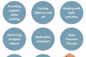 Training Service Dogs for POTS: A Guide My Caring Dog – Tips, Stories, and Care Guides for Loving Pet Owners Training Service Dogs for POTS: A Guide | My Caring Dog – Tips, Stories, and Care Guides for Loving Pet Owners