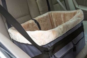 Top Elevated Dog Car Seats for Safe Travels My Caring Dog – Tips, Stories, and Care Guides for Loving Pet Owners Top Elevated Dog Car Seats for Safe Travels | My Caring Dog – Tips, Stories, and Care Guides for Loving Pet Owners