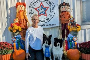 Best Star City Canine Training Club: Dog Obedience My Caring Dog – Tips, Stories, and Care Guides for Loving Pet Owners Best Star City Canine Training Club: Dog Obedience | My Caring Dog – Tips, Stories, and Care Guides for Loving Pet Owners