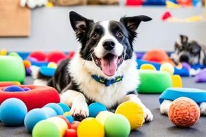 Top-Rated Dog Day Cares Near Me: Find the Best My Caring Dog – Tips, Stories, and Care Guides for Loving Pet Owners Top-Rated Dog Day Cares Near Me: Find the Best | My Caring Dog – Tips, Stories, and Care Guides for Loving Pet Owners