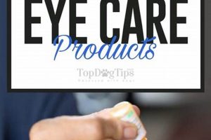 Dog Eye Care Products My Caring Dog – Tips, Stories, and Care Guides for Loving Pet Owners Dog Eye Care Products | My Caring Dog – Tips, Stories, and Care Guides for Loving Pet Owners