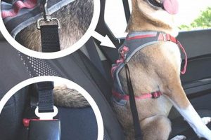 Best Dog Safety Belt for Car: Secure & Safe Travels My Caring Dog – Tips, Stories, and Care Guides for Loving Pet Owners Best Dog Safety Belt for Car: Secure & Safe Travels | My Caring Dog – Tips, Stories, and Care Guides for Loving Pet Owners