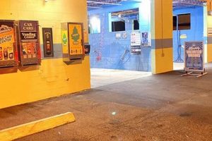 The Best Salty Dog Car Wash in DeLand My Caring Dog – Tips, Stories, and Care Guides for Loving Pet Owners The Best Salty Dog Car Wash in DeLand | My Caring Dog – Tips, Stories, and Care Guides for Loving Pet Owners