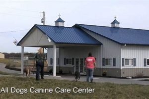 Top All Dogs Canine Care Center: Services & More My Caring Dog – Tips, Stories, and Care Guides for Loving Pet Owners Top All Dogs Canine Care Center: Services & More | My Caring Dog – Tips, Stories, and Care Guides for Loving Pet Owners