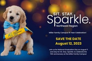 Canine Companions Long Island My Caring Dog – Tips, Stories, and Care Guides for Loving Pet Owners Canine Companions Long Island | My Caring Dog – Tips, Stories, and Care Guides for Loving Pet Owners