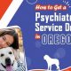 Get a Service Dog in Oregon: Your Complete Guide | My Caring Dog – Tips, Stories, and Care Guides for Loving Pet Owners