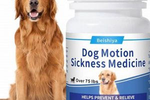 Best Anti-Car Sickness Solutions for Dogs My Caring Dog – Tips, Stories, and Care Guides for Loving Pet Owners Best Anti-Car Sickness Solutions for Dogs | My Caring Dog – Tips, Stories, and Care Guides for Loving Pet Owners