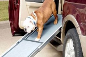 Best Dog Ramps For Cars: Side Door Access My Caring Dog – Tips, Stories, and Care Guides for Loving Pet Owners Best Dog Ramps For Cars: Side Door Access | My Caring Dog – Tips, Stories, and Care Guides for Loving Pet Owners