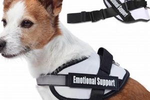 Emotional Support Dog For Sale Near Me My Caring Dog – Tips, Stories, and Care Guides for Loving Pet Owners Emotional Support Dog For Sale Near Me | My Caring Dog – Tips, Stories, and Care Guides for Loving Pet Owners