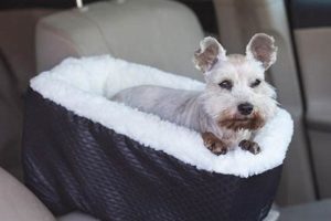 Best Dog Car Seats Near Me: Shop Local My Caring Dog – Tips, Stories, and Care Guides for Loving Pet Owners Best Dog Car Seats Near Me: Shop Local | My Caring Dog – Tips, Stories, and Care Guides for Loving Pet Owners