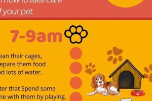 The Ultimate Car Dog's Daily Routine My Caring Dog – Tips, Stories, and Care Guides for Loving Pet Owners The Ultimate Car Dog's Daily Routine | My Caring Dog – Tips, Stories, and Care Guides for Loving Pet Owners