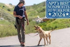Best Dog Nonprofits & Charities to Support My Caring Dog – Tips, Stories, and Care Guides for Loving Pet Owners Best Dog Nonprofits & Charities to Support | My Caring Dog – Tips, Stories, and Care Guides for Loving Pet Owners