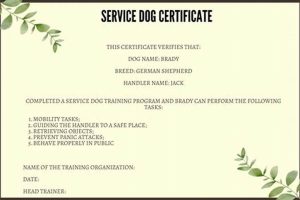 Service Dog Certification: Truth & Myths My Caring Dog – Tips, Stories, and Care Guides for Loving Pet Owners Service Dog Certification: Truth & Myths | My Caring Dog – Tips, Stories, and Care Guides for Loving Pet Owners