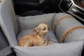 Best Dog Beds for Front Car Seats: Safe & Comfy My Caring Dog – Tips, Stories, and Care Guides for Loving Pet Owners Best Dog Beds for Front Car Seats: Safe & Comfy | My Caring Dog – Tips, Stories, and Care Guides for Loving Pet Owners