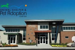 Best Animal Adoption Centers in Missouri: Find Your Dog My Caring Dog – Tips, Stories, and Care Guides for Loving Pet Owners Best Animal Adoption Centers in Missouri: Find Your Dog | My Caring Dog – Tips, Stories, and Care Guides for Loving Pet Owners