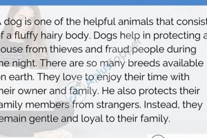 How To Take Care Of A Dog Paragraph My Caring Dog – Tips, Stories, and Care Guides for Loving Pet Owners How To Take Care Of A Dog Paragraph | My Caring Dog – Tips, Stories, and Care Guides for Loving Pet Owners