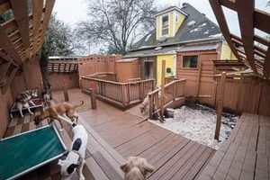 Top Dog Day Care in Lake Oswego, OR My Caring Dog – Tips, Stories, and Care Guides for Loving Pet Owners Top Dog Day Care in Lake Oswego, OR | My Caring Dog – Tips, Stories, and Care Guides for Loving Pet Owners
