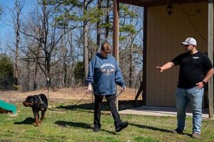 Dog Training Company My Caring Dog – Tips, Stories, and Care Guides for Loving Pet Owners Dog Training Company | My Caring Dog – Tips, Stories, and Care Guides for Loving Pet Owners