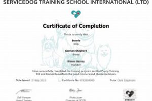 Become a Certified Service Dog Trainer: Expert Guide My Caring Dog – Tips, Stories, and Care Guides for Loving Pet Owners Become a Certified Service Dog Trainer: Expert Guide | My Caring Dog – Tips, Stories, and Care Guides for Loving Pet Owners