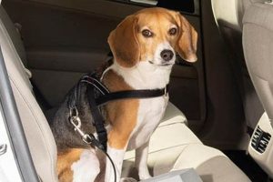 Best Leashboss Dog Car Seat Belt for Safe Travels My Caring Dog – Tips, Stories, and Care Guides for Loving Pet Owners Best Leashboss Dog Car Seat Belt for Safe Travels | My Caring Dog – Tips, Stories, and Care Guides for Loving Pet Owners