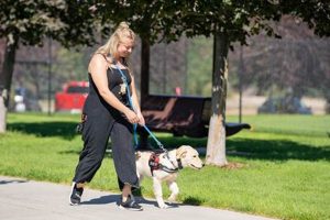 Best Psychiatric Service Dog Trainers: Expert Guide My Caring Dog – Tips, Stories, and Care Guides for Loving Pet Owners Best Psychiatric Service Dog Trainers: Expert Guide | My Caring Dog – Tips, Stories, and Care Guides for Loving Pet Owners