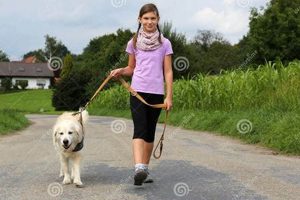 Taking Dog My Caring Dog – Tips, Stories, and Care Guides for Loving Pet Owners Taking Dog | My Caring Dog – Tips, Stories, and Care Guides for Loving Pet Owners