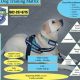 Service Dog Training Program | My Caring Dog – Tips, Stories, and Care Guides for Loving Pet Owners