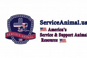 Your Guide to Service Animals in the USA My Caring Dog – Tips, Stories, and Care Guides for Loving Pet Owners Your Guide to Service Animals in the USA | My Caring Dog – Tips, Stories, and Care Guides for Loving Pet Owners