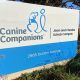 Best Canine Companions in Santa Rosa CA | My Caring Dog – Tips, Stories, and Care Guides for Loving Pet Owners