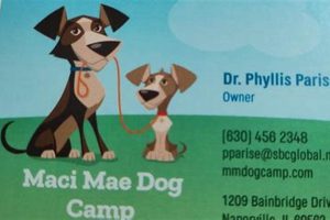 Best Dog Day Care in Naperville, IL My Caring Dog – Tips, Stories, and Care Guides for Loving Pet Owners Best Dog Day Care in Naperville, IL | My Caring Dog – Tips, Stories, and Care Guides for Loving Pet Owners