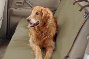 Best Solvit Dog Car Seat Covers: Top Picks & Reviews My Caring Dog – Tips, Stories, and Care Guides for Loving Pet Owners Best Solvit Dog Car Seat Covers: Top Picks & Reviews | My Caring Dog – Tips, Stories, and Care Guides for Loving Pet Owners